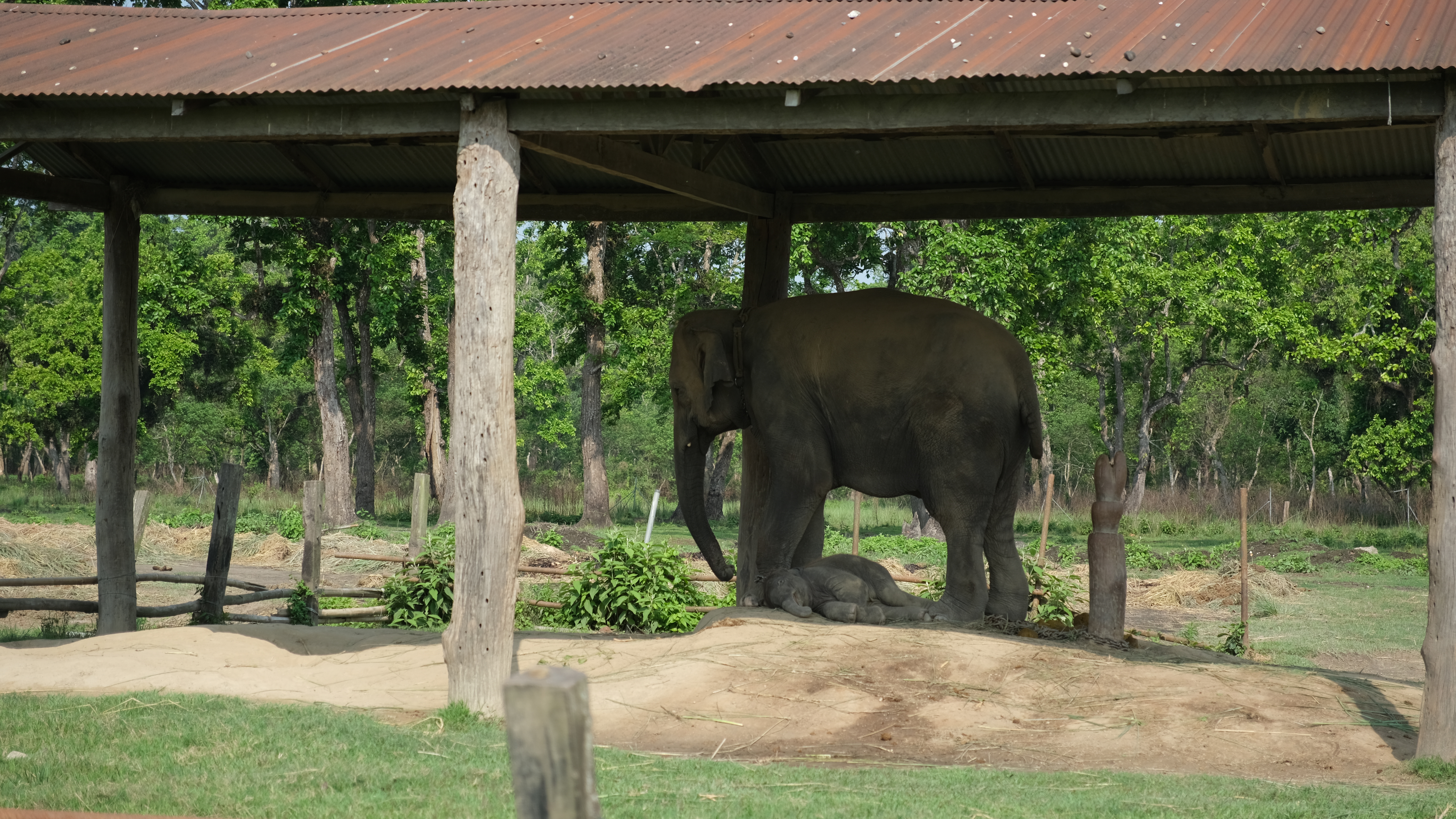 Nepal Highlight Tour